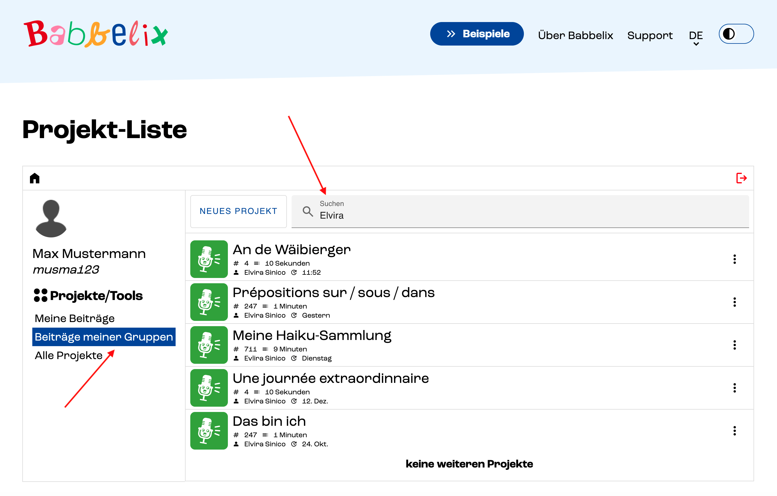 Screenshot der Projekt-Liste in der Babbelix-Webansicht mit Fokus auf den Filter und die Suche.
